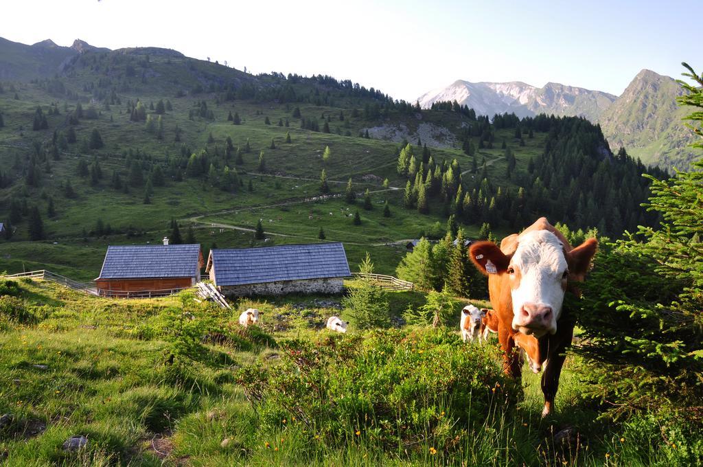 Urlaub Am Raderhof In Der Ferienregion Lungau Lejlighed Mauterndorf  Eksteriør billede