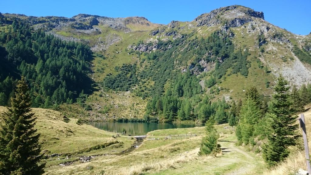 Urlaub Am Raderhof In Der Ferienregion Lungau Lejlighed Mauterndorf  Eksteriør billede
